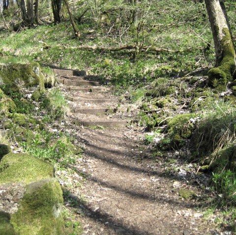 Beschaffenheit des Eifelsteigs, © Eifel Tourismus GmbH