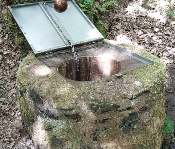 Fontaine acide de Hasborn, © Tourist-Information Wittlich Stadt & Land