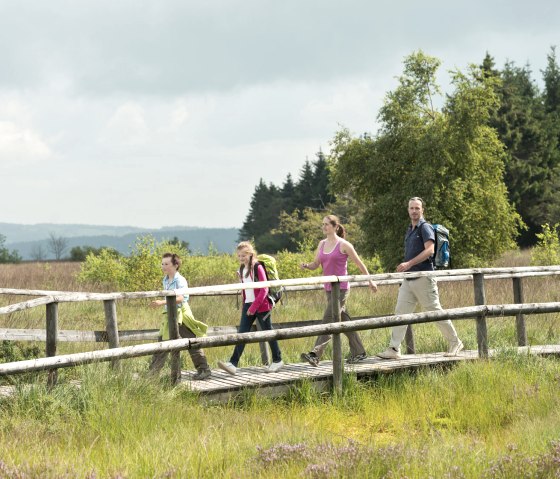 Hohes Venn bei Botrange, © vennbahn.eu