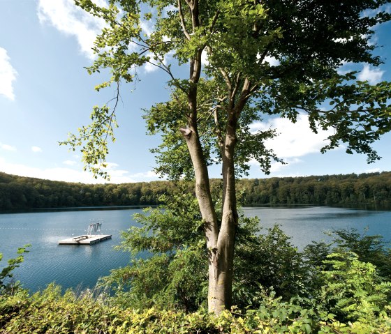 Ufer am Pulvermaar, © Eifel Tourismus GmbH, D. Ketz