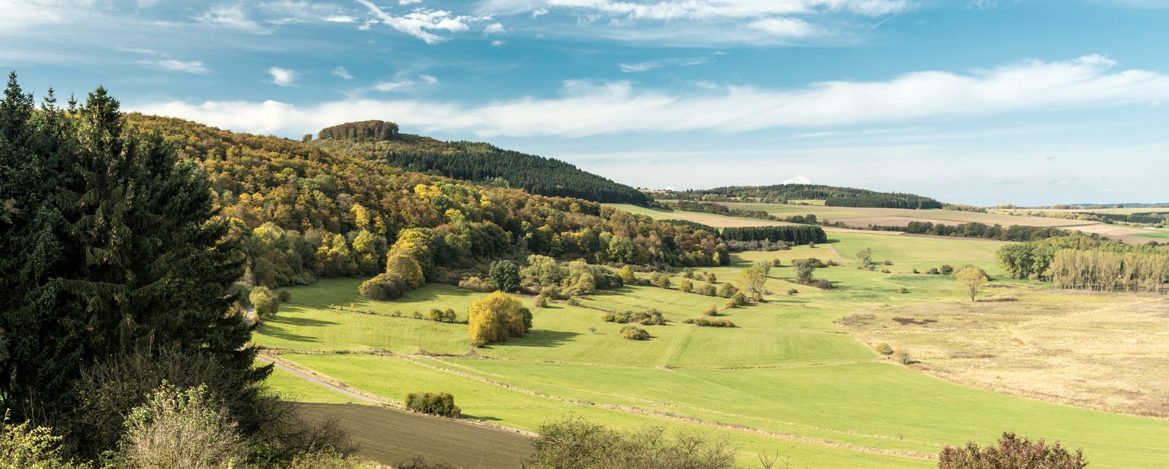 Dreiser Weiher am Wanderweg Vulkangipfel-Pfad, © Eifel Tourismus GmbH - D. Ketz