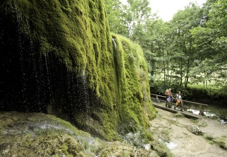 Eifelsteig, Nohner Wasserfall, © Rheinland-Pfalz Tourismus GmbH - Dominik Ketz