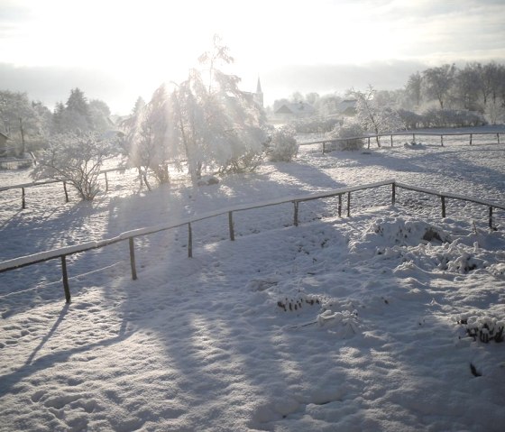 Außenanlage im Winter_