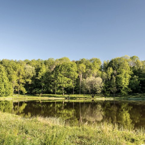 Windsborn Kratersee, © GesundLand Vulkaneifel GmbH/D. Ketz