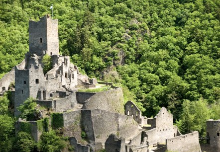 Manderscheider Burgen (Niederburg) in der Eifel, © Rheinland-Pfalz Tourismus GmbH / D. Ketz