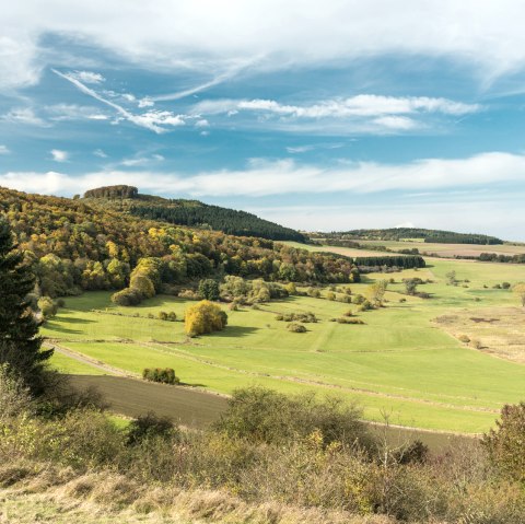 Dreiser Weiher am Wanderweg Vulkangipfel-Pfad, © Eifel Tourismus GmbH - D. Ketz