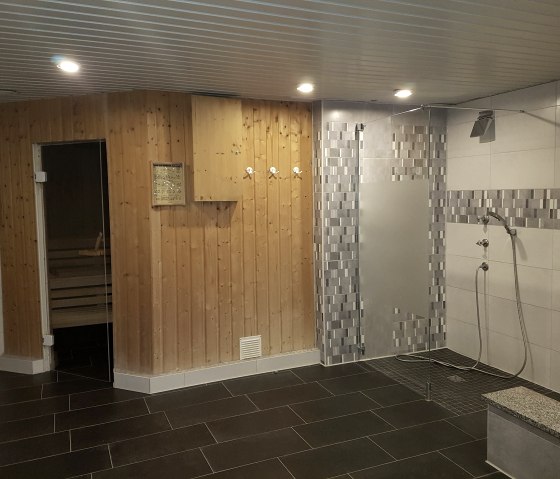 geräumige Sauna und Kaltdusche