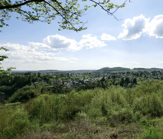 Manderscheider Burgenstieg: Aussicht auf Manderscheid, © Eifel Tourismus GmbH