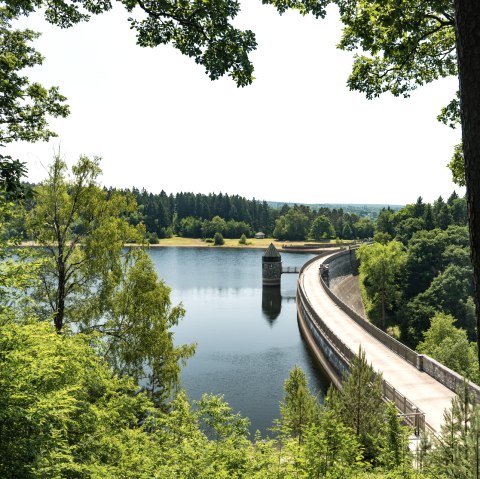 Dreilägerbach dam, © Eifel Tourismus GmbH, Dominik Ketz