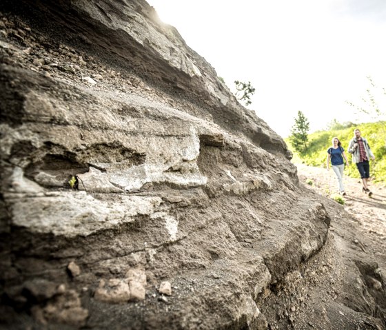 Wanderung Vulkan-Pfad: Vulkangestein am Steffelnkopf, © Eifel Tourismus GmbH, D. Ketz