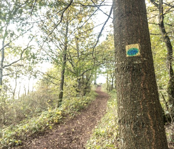 Wie beim Eifelsteig findet man auf Bäumen auch eine Sprühmarkerung auf den Partnerwegen, © Eifel Tourismus