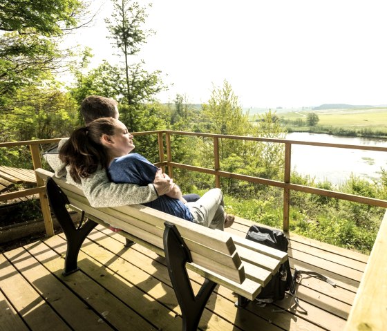 Vulkanpfad Eichholzmaar, © Eifel Tourismus GmbH, Dominik Ketz