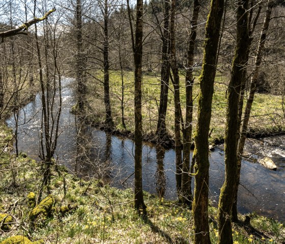 Narzissenroute, © Städteregion Aachen, Dominik Ketz