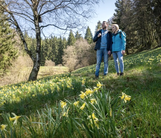 Wandern auf der Narzissenroute, © Städteregion Aachen, Dominik Ketz