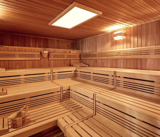 Sauna Piège à souris