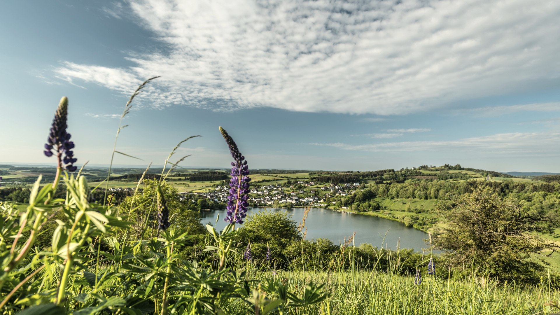 Schalkenmehrener Maar am Eifelsteig, © Eifel Tourismus GmbH, D. Ketz