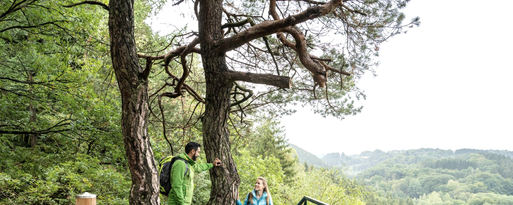 Eifelsteig-Rastplatz Perdsley, © Eifel Tourismus GmbH, Dominik Ketz