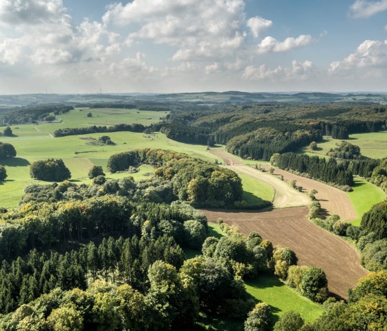 Ausblick bei der Wanderung auf dem Schneifel-Pfad, © Eifel Tourismus GmbH / D. Ketz