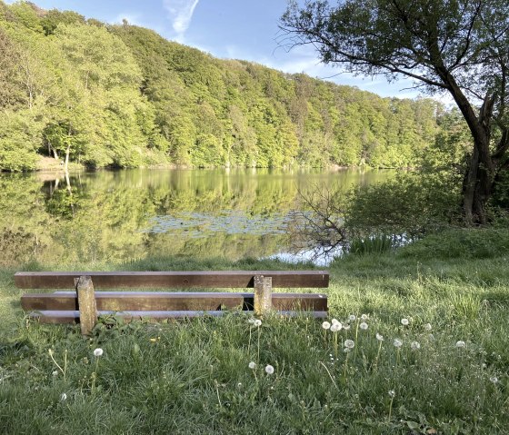 Bank am Ulmener Maar, © GesundLand Vulkaneifel GmbH, Carina Wagner