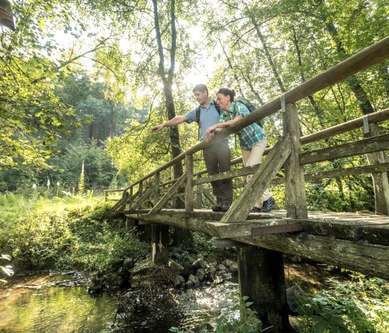 Brücke über den Üssbach am Wanderweg Maare und Thermenpfad, © Eifel Tourismus GmbH / D. Ketz