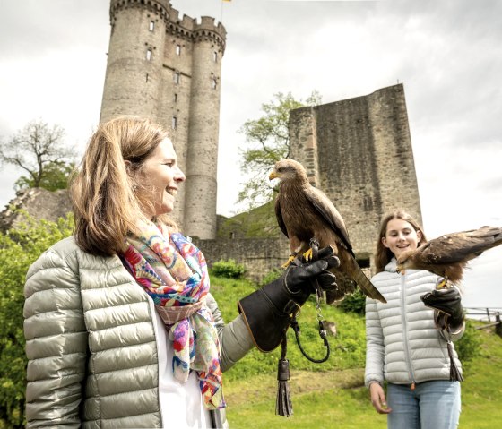 Greifvögel ganz nah, Adler- und Wolfspark, © Eifel Tourismus GmbH, Dominik Ketz