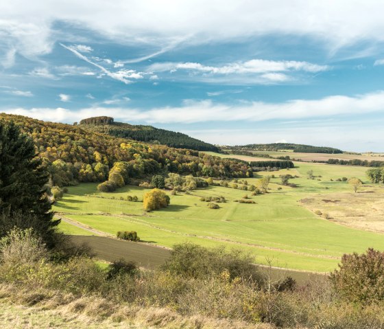 Dreiser Weiher am Wanderweg Vulkangipfel-Pfad, © Eifel Tourismus GmbH - D. Ketz