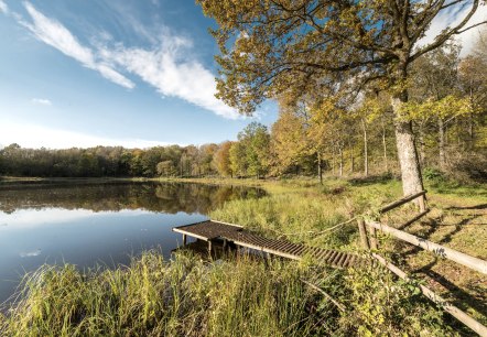 VulkaMaar-Pfad Windsborn-Kratersee, © Eifel Tourismus GmbH, Dominik Ketz