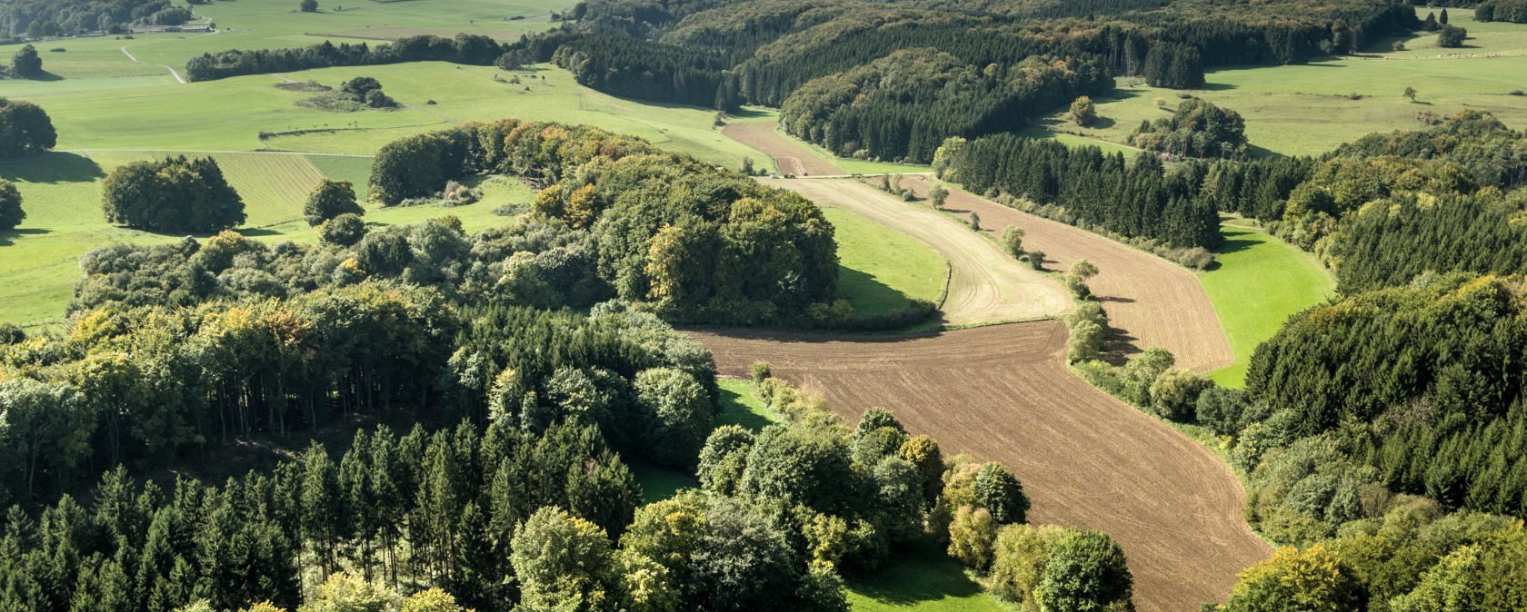 Ausblick in die Eifel auf dem Schneifel-Pfad, © Eifel Tourismus GmbH, D. Ketz