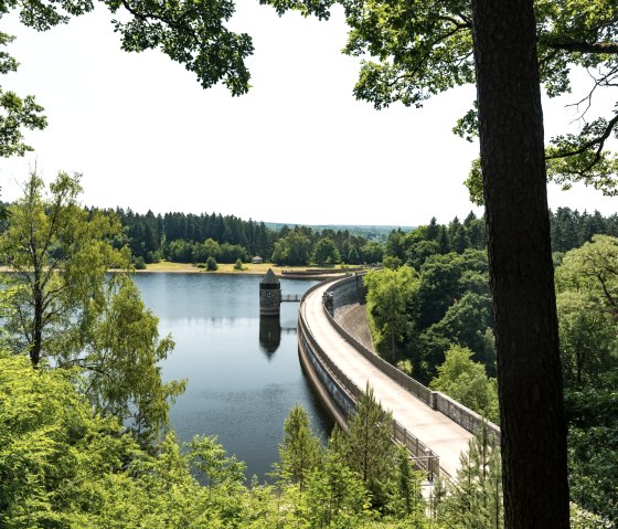 De Dreilägerbach-stuwdam op de Eifelsteig, © Eifel Tourismus GmbH, D. Ketz