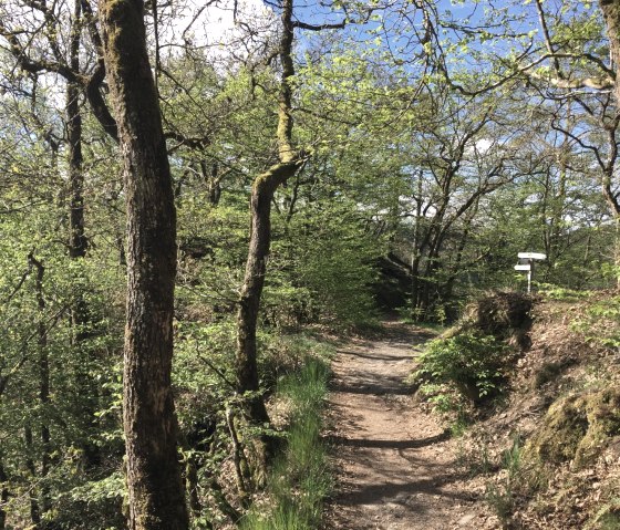 Unterwegs auf dem Grafschaft-Pfad, © Eifel Tourismus GmbH