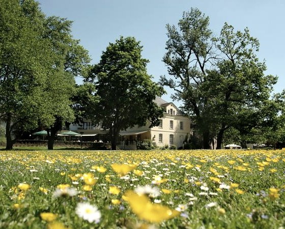 Außenansicht Nells Park