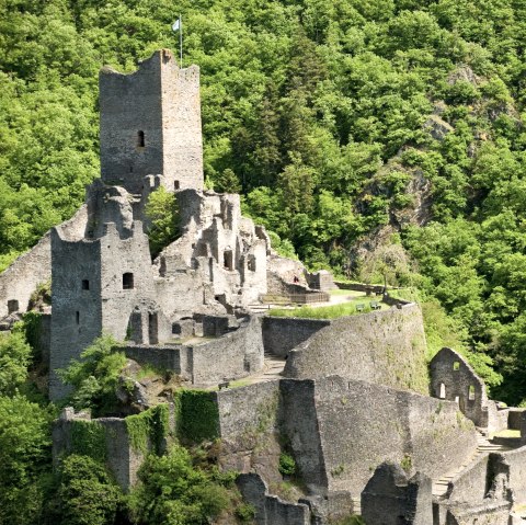 Wanderweg Manderscheider Burgenstieg: Niederburg, © Rheinland-Pfalz Tourismus GmbH - D. Ketz