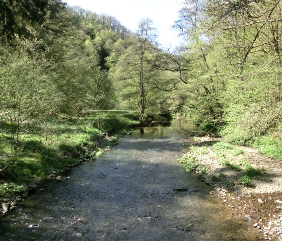 Wandertour Manderscheider Burgenstieg: Die Lieser, © Eifel Tourismus GmbH