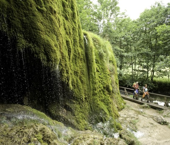 Eifelsteig, Nohner Wasserfall, © Eifel Tourismus GmbH - Dominik Ketz