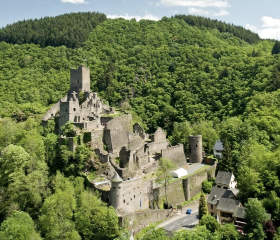 Niederburg Manderscheid, © Rheinland-Pfalz Tourismus GmbH - D. Ketz