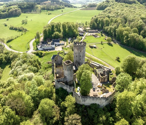 Adler- und Wolfspark mit Kasselburg, © Eifel Tourismus GmbH, Dominik Ketz