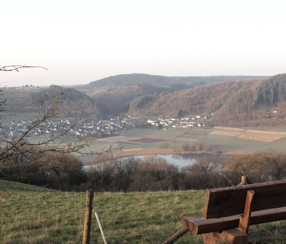 Vue du Landesblick sur le Meerfelder Maar