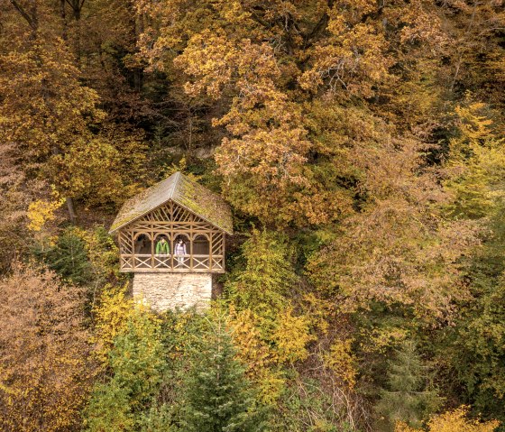 Blick aus der Balduinshütte ins Liesertal, Eifelsteig Etappe 12, © Eifel Tourismus GmbH, Dominik Ketz