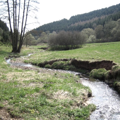 Das Tal der Kleinen Kyll überquert man auf der Etappe 10 des Eifelsteigs von Gerolstein nach Daun, © Eifel Tourismus