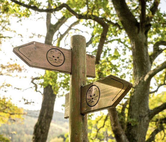 Beschilderung Wildnis-Trail, © Eifel-Tourismus GmbH, Dominik Ketz