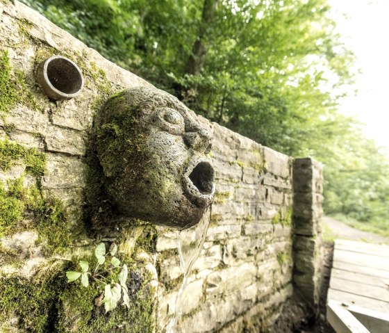 Entdecke Details am Wegesrand auf dem Maare und Thermen Pfad, © Eifel Tourismus GmbH, D. Ketz