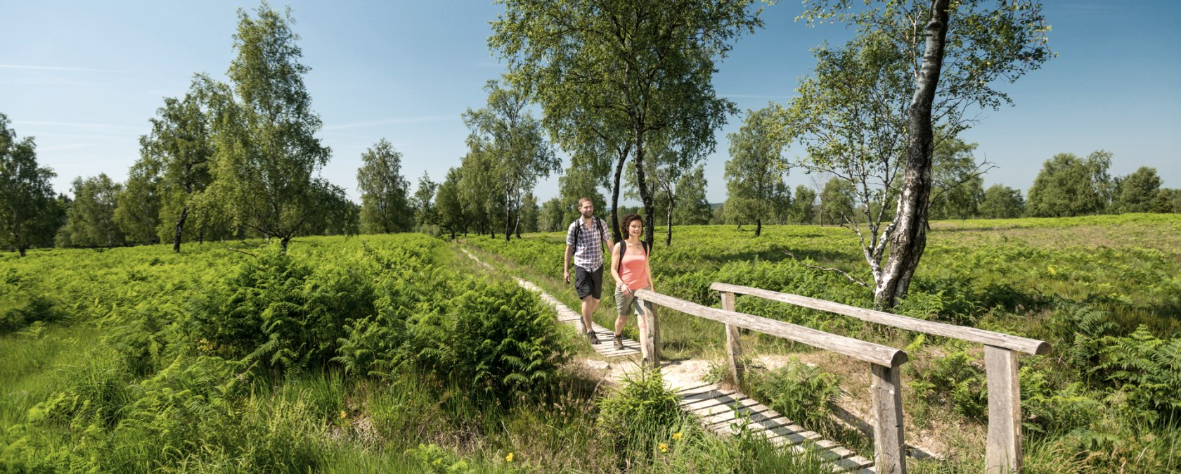 Naturschutzgebiet Struffelt Heide, © Eifel Tourismus/D.Ketz