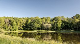 Windsborn Kratersee, © GesundLand Vulkaneifel GmbH/D. Ketz