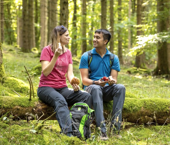 Idyllische Wanderrast im Manscheider Bachtal, © Eifel Tourismus GmbH, Dominik Ketz