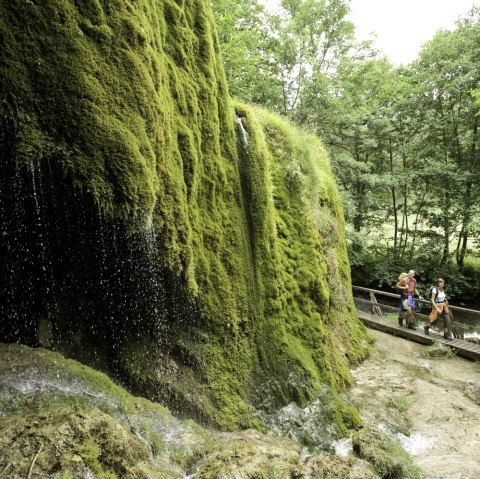 Eifelsteig, Nohner Wasserfall, © Rheinland-Pfalz Tourismus GmbH - Dominik Ketz