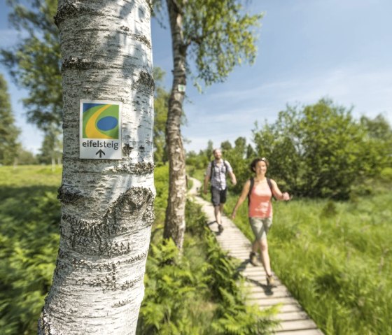 Wanderung auf dem Eifelsteig, © Eifel Tourismus GmbH - Dominik Ketz