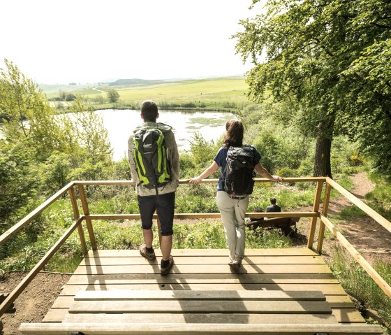 ET-2019-354-Vulcanpfad, Eichholzmaar ©, © Eifel Tourismus GmbH, Dominik Ketz