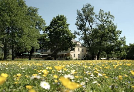 Außenansicht Nells Park