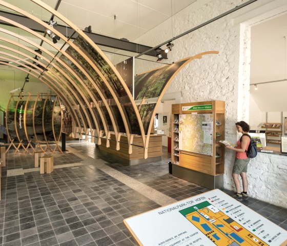 Blick ins Nationalpark-Tor Höfen, © Eifel Tourismus GmbH, D. Ketz