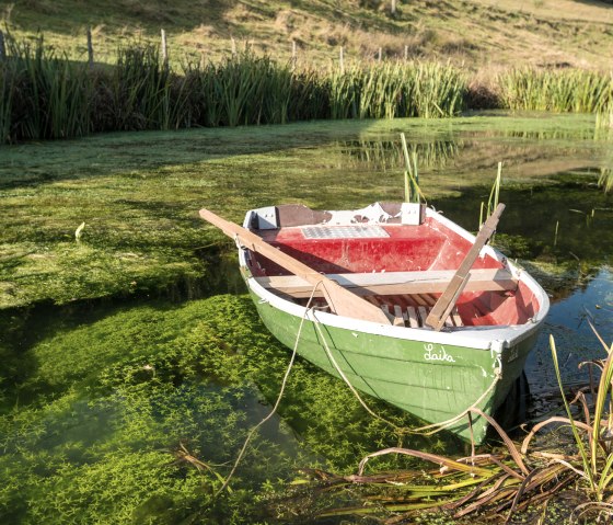 Teich am Hinterbüsch-Pfad, © Eifel Tourismus GmbH/D.Ketz